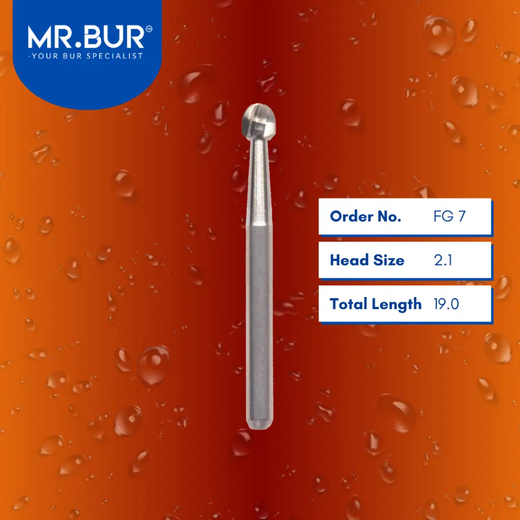 Carbide-Round-Carbide-19mm-FG 7.webp